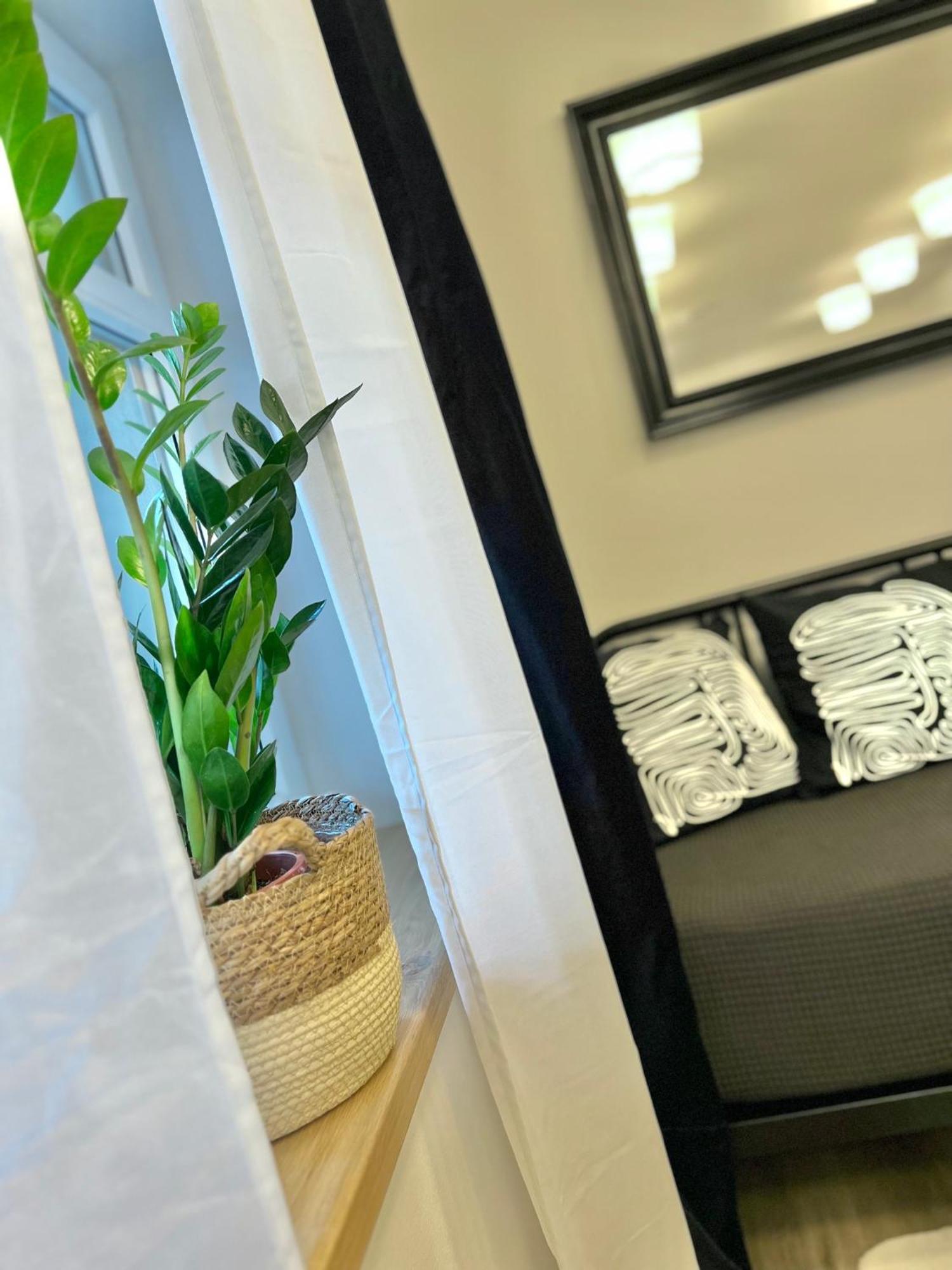 Apartmány Benešov Benesov nad Ploucnici Exteriér fotografie